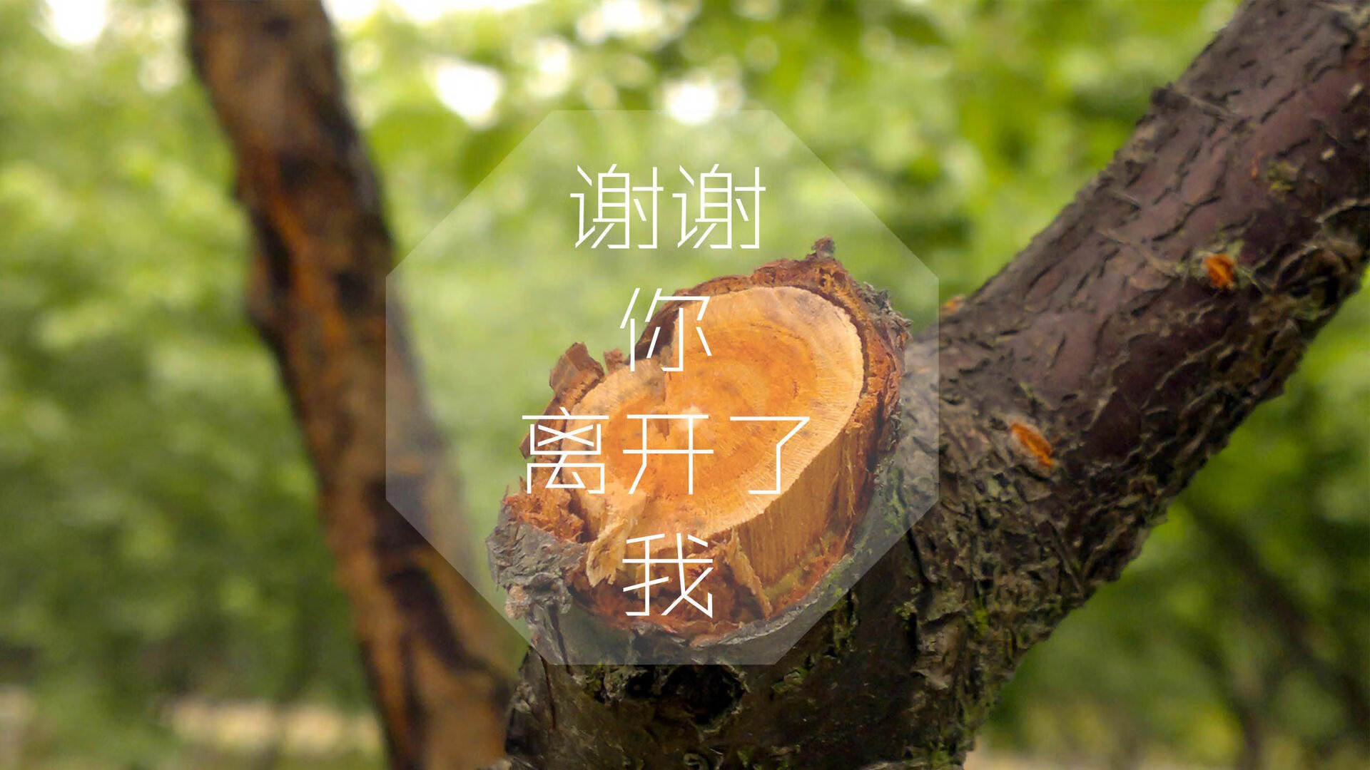 未来足球青训营，培养新时代球星，足球青训改革
