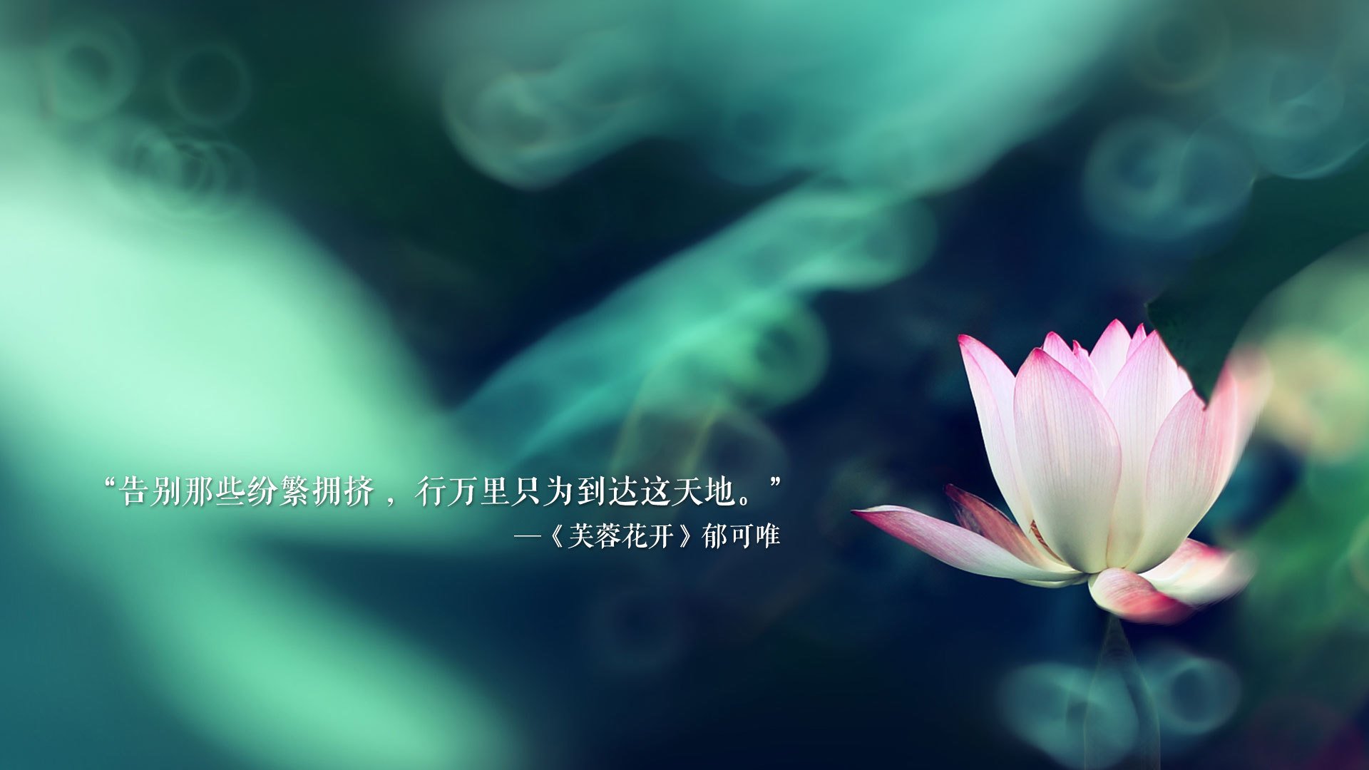 西甲精彩瞬间，球员描述比赛感受，西甲球队vll